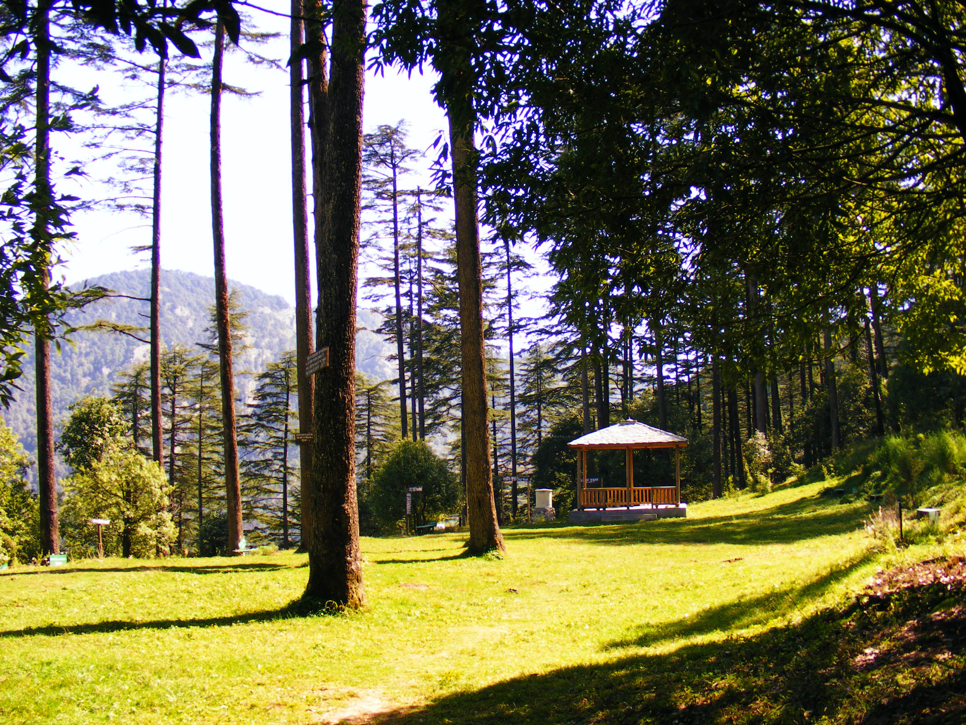 Dhanolti Sightseeing